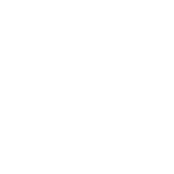 Gestion des différents contrôles et leurs enchaînements Icone