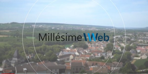 Millésime Web - Logiciel de gestion pour les collectivités